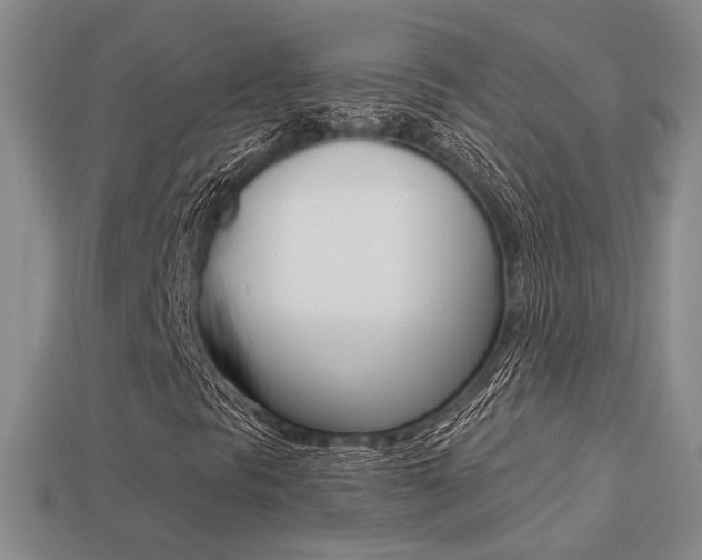 X0000113271297200909101302