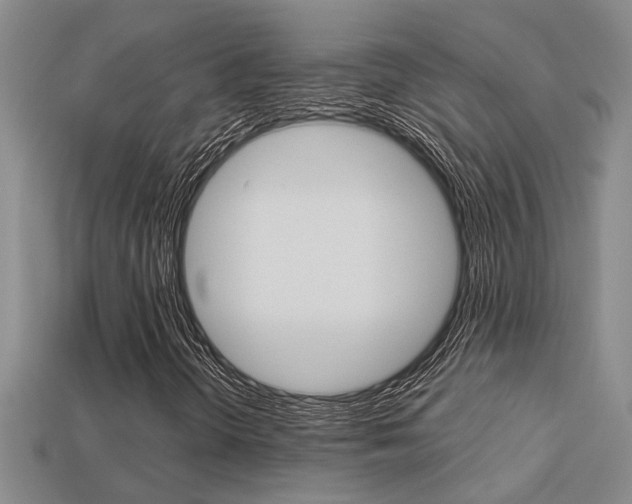 X0000113271298200909101302