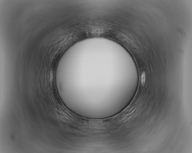 X0000113271299200909101302