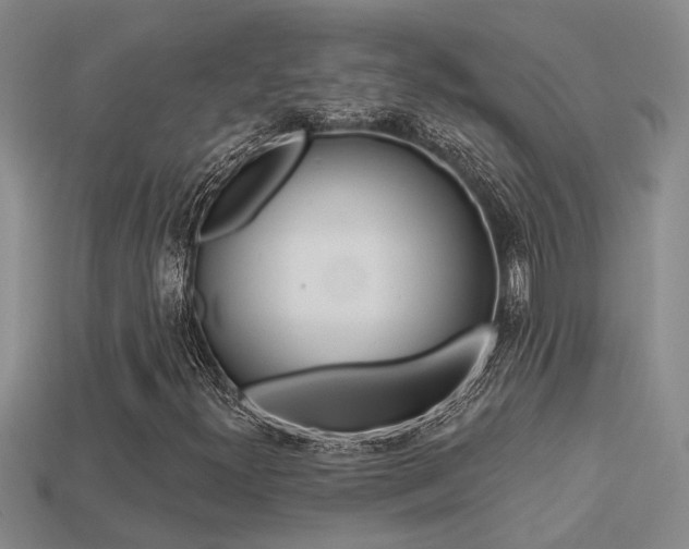 X0000113271300200909101302