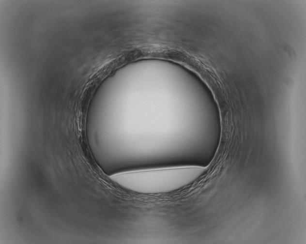 X0000113271301200909101302