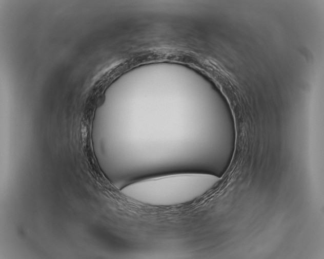 X0000113271302200909101302