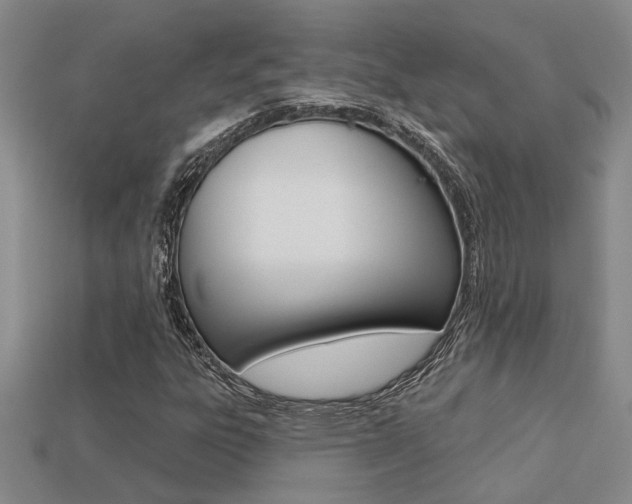 X0000113271303200909101302