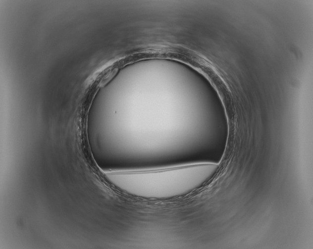 X0000113271304200909101302