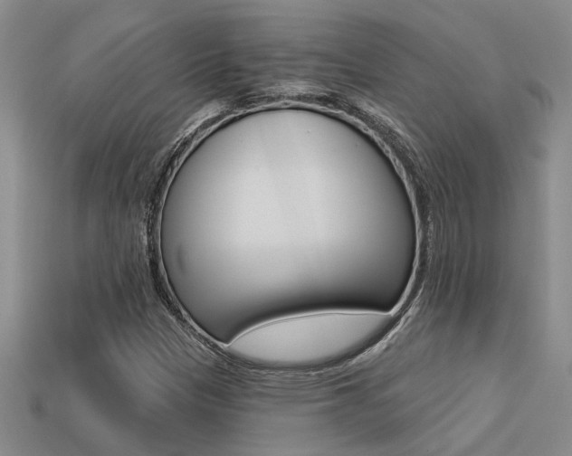 X0000113271305200909101302
