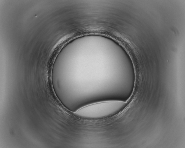 X0000113271306200909101302