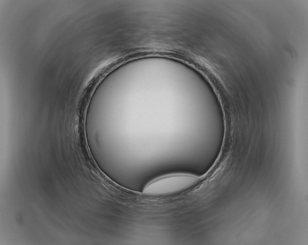 X0000113271307200909101302