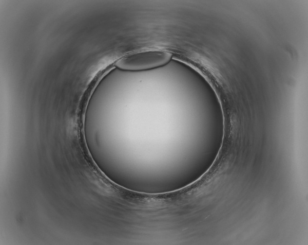 X0000113271308200909101302