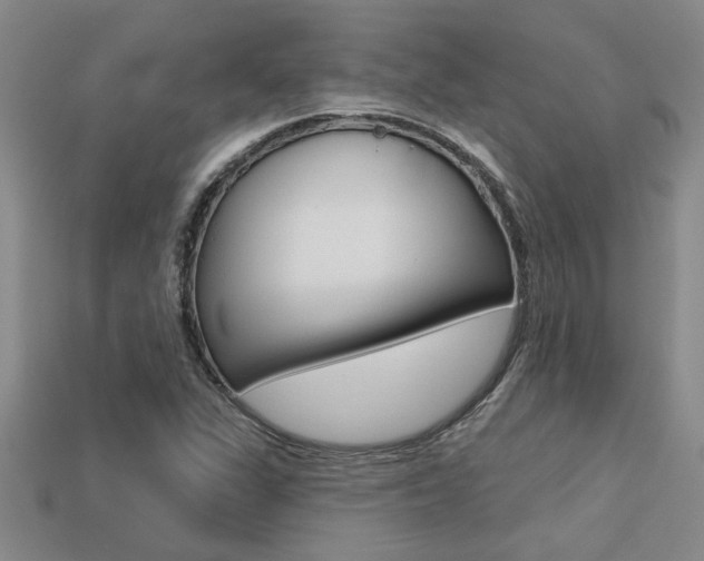 X0000113271311200909101302