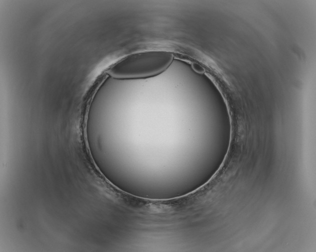 X0000113271312200909101302