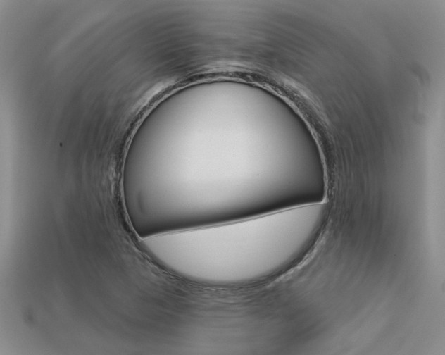 X0000113271313200909101302