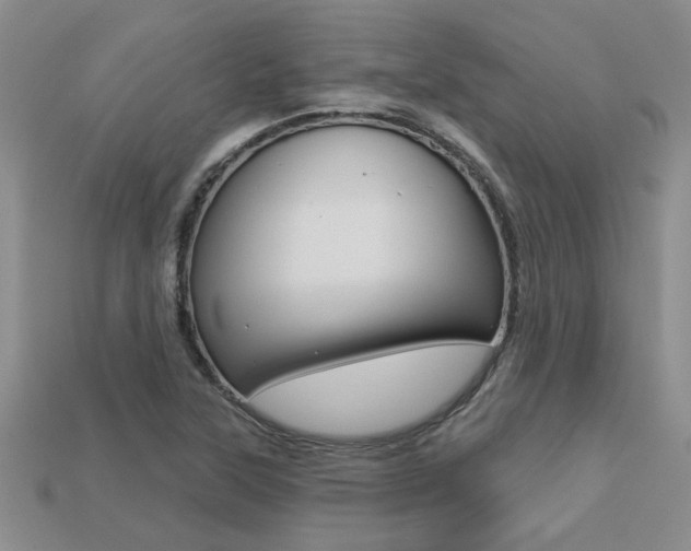 X0000113271315200909101302