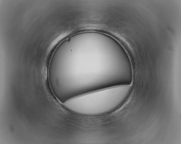 X0000113271317200909101302