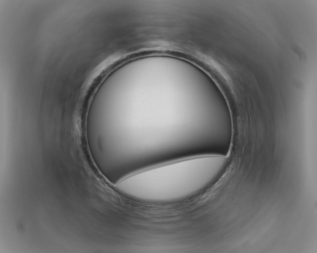 X0000113271318200909101302