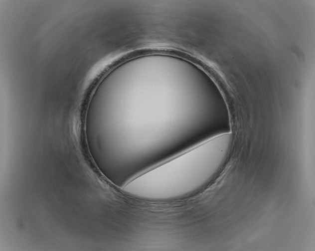 X0000113271319200909101302