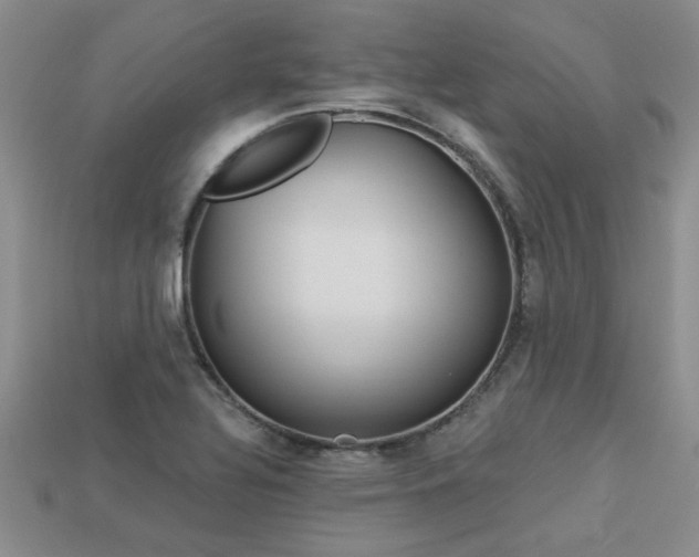 X0000113271320200909101303