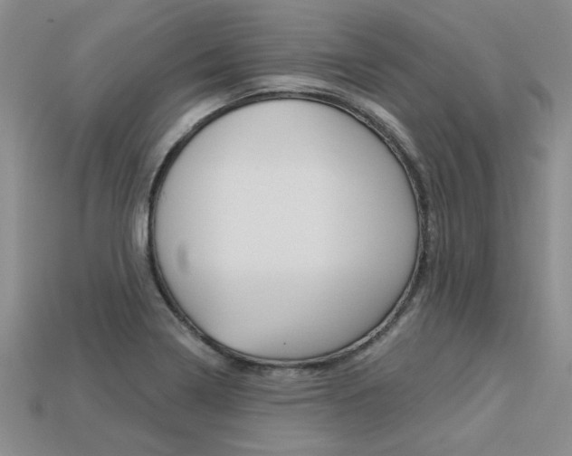 X0000113271322200909101303
