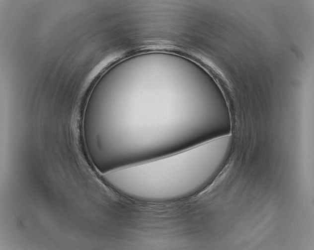 X0000113271325200909101303
