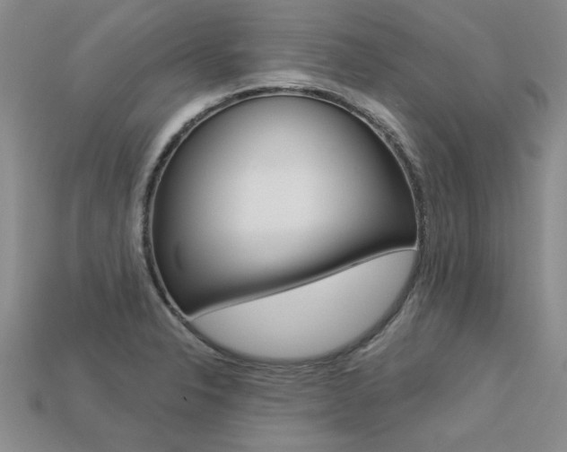 X0000113271326200909101303