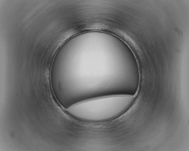 X0000113271329200909101303