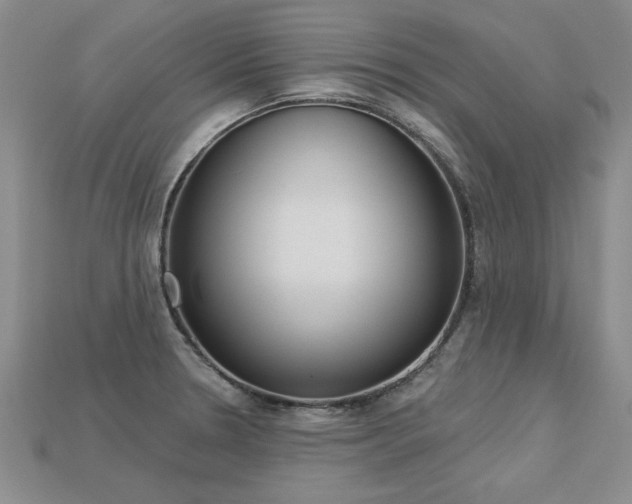 X0000113271330200909101303