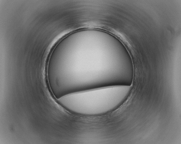 X0000113271331200909101303