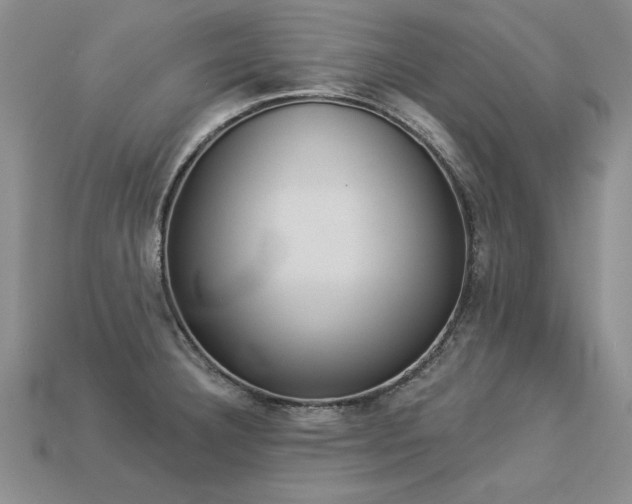 X0000113271332200909101303