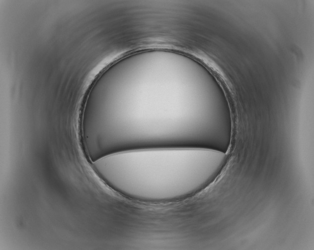 X0000113271333200909101303