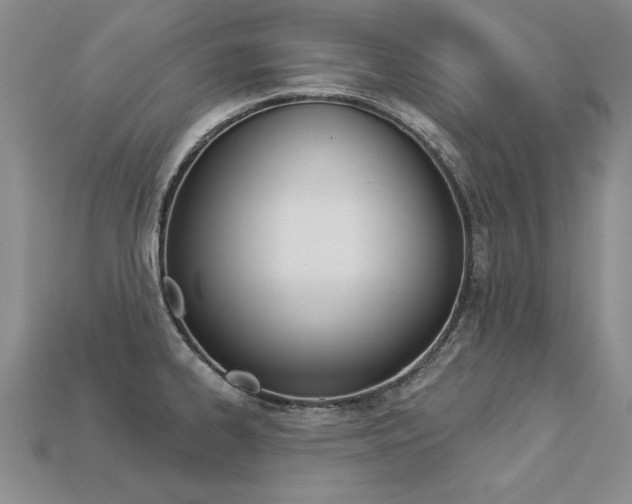 X0000113271334200909101303