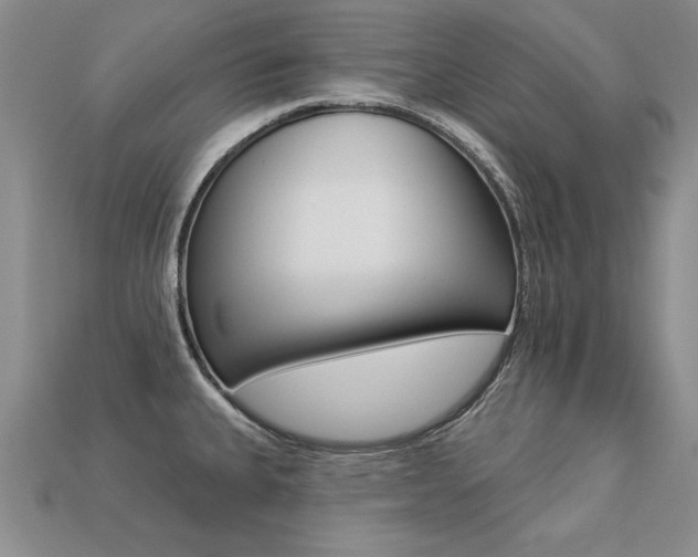 X0000113271335200909101303