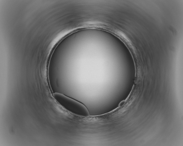 X0000113271336200909101303