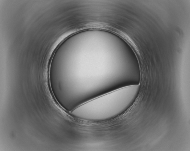 X0000113271339200909101303