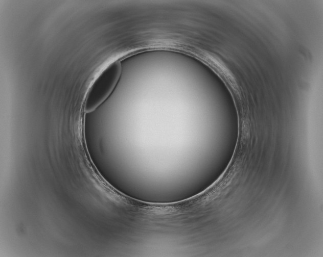 X0000113271340200909101303