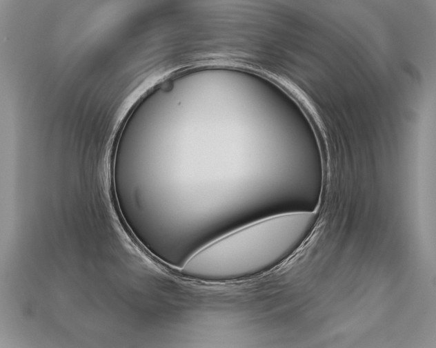 X0000113271341200909101303