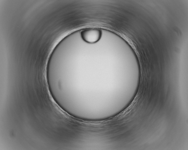 X0000113271342200909101303