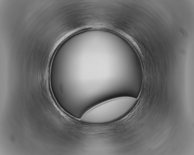 X0000113271343200909101303