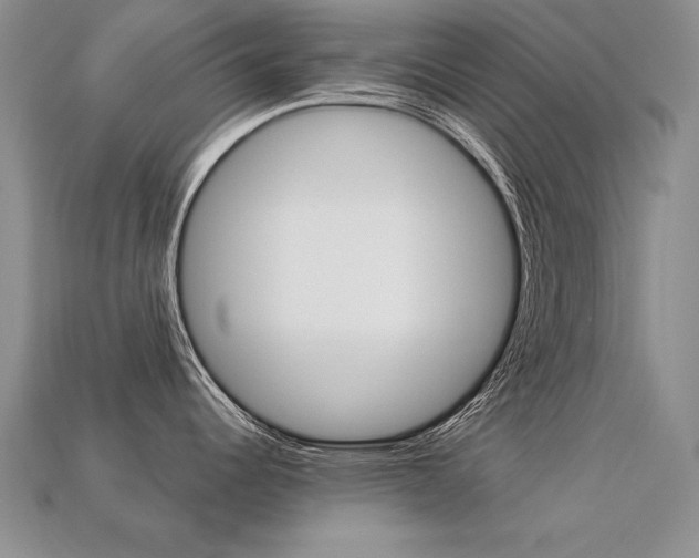 X0000113271344200909101303