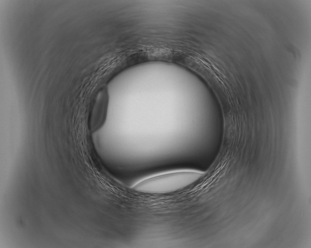 X0000113271345200909101302