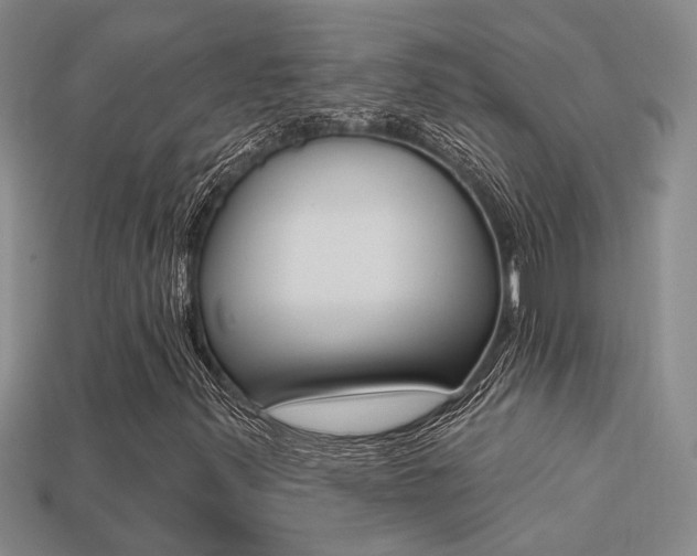 X0000113271347200909101302