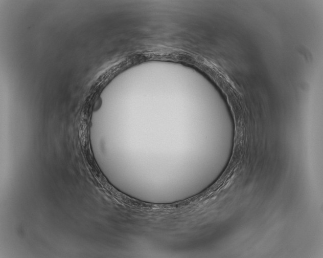 X0000113271350200909101302