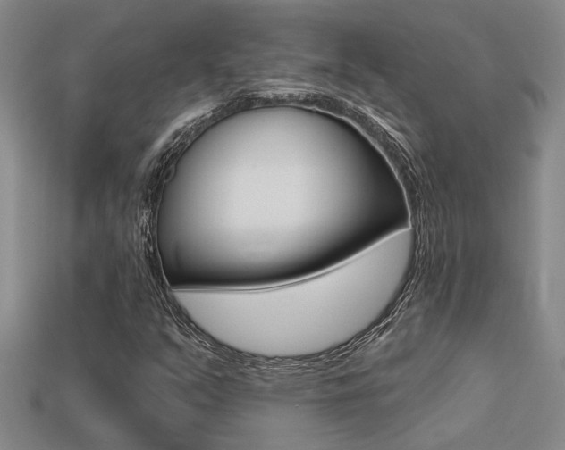 X0000113271351200909101302