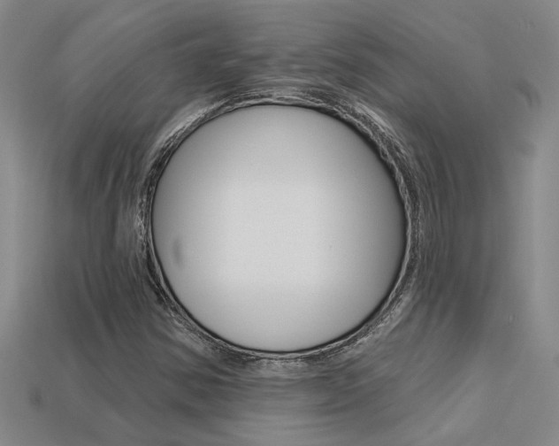 X0000113271354200909101302