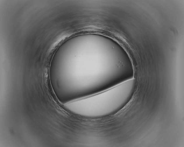 X0000113271355200909101302
