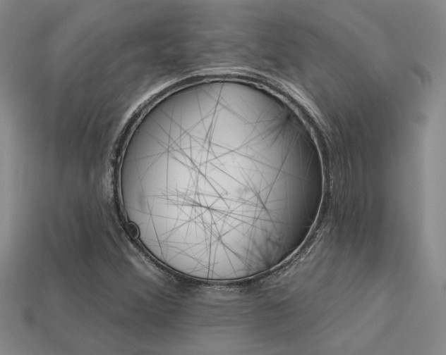 X0000113271356200909101302