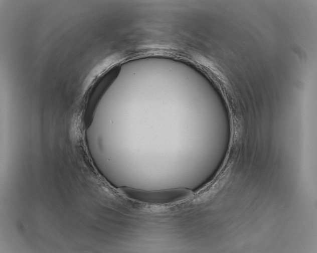 X0000113271357200909101302