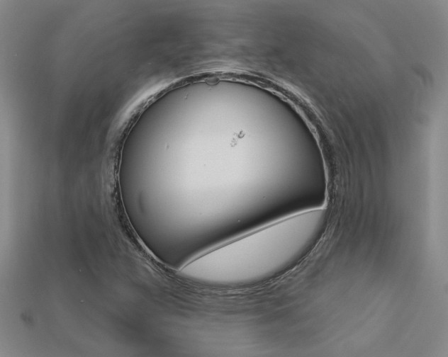 X0000113271359200909101302