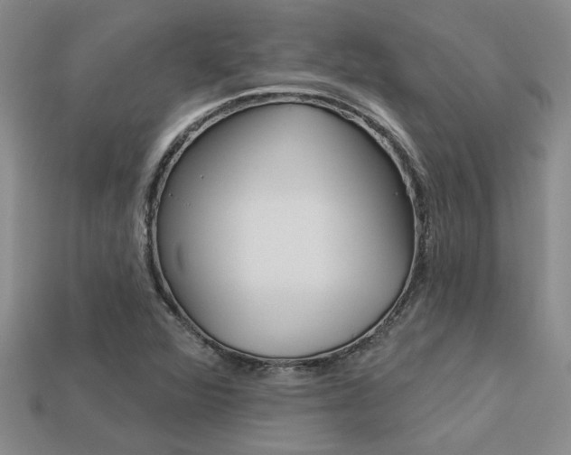X0000113271360200909101302