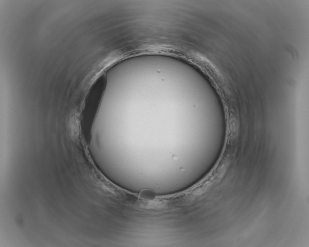 X0000113271361200909101302
