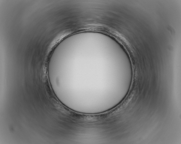 X0000113271362200909101302