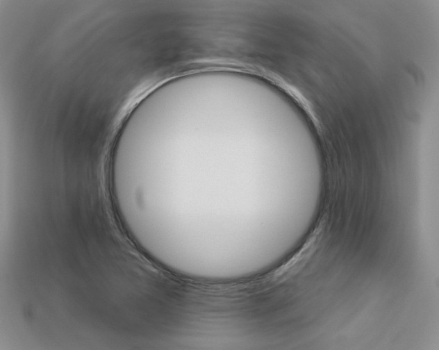 X0000113271365200909101302